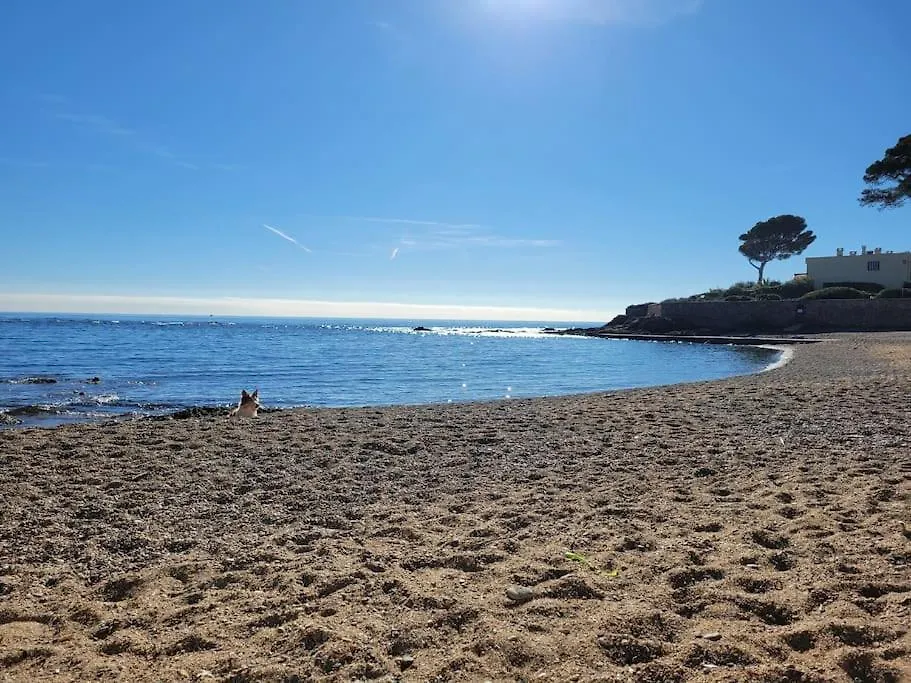 Apartment Appartement Corail, Vue Plongeante Sur La Mer Frejus